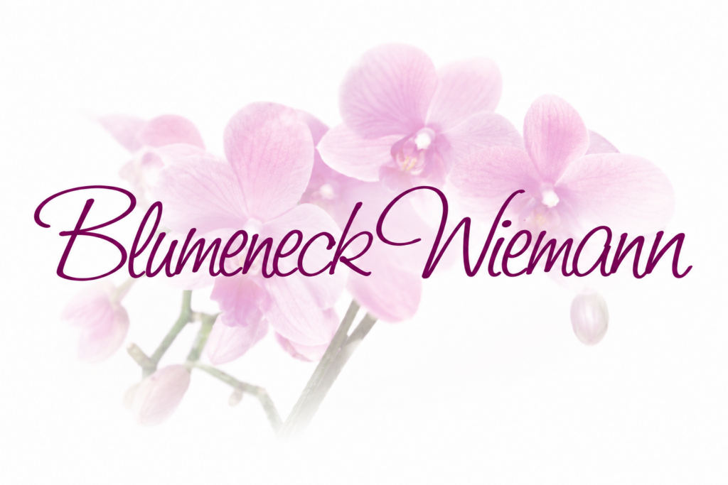 Blumeneck Wiemann